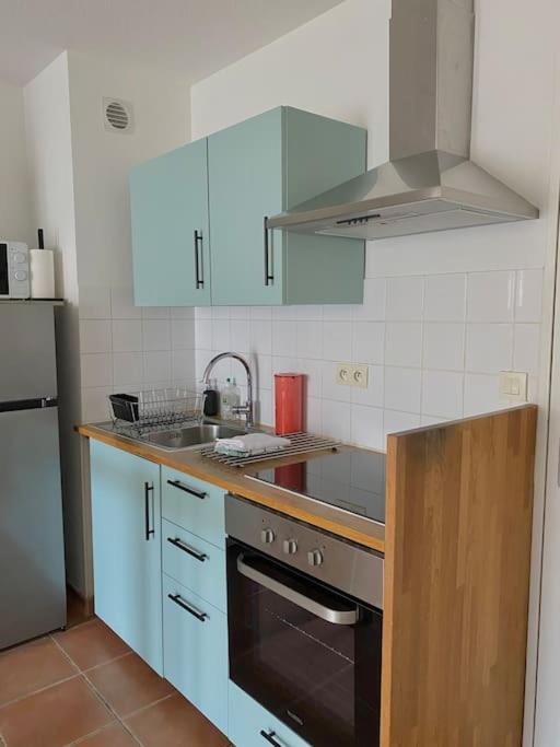 Appartement Cocon Aux Portes Du Centre Avec Terrasse